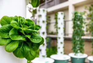 Sistema hidropônico NFT em horta vertical, ideal para cultivar ervas sem terra em 2025.