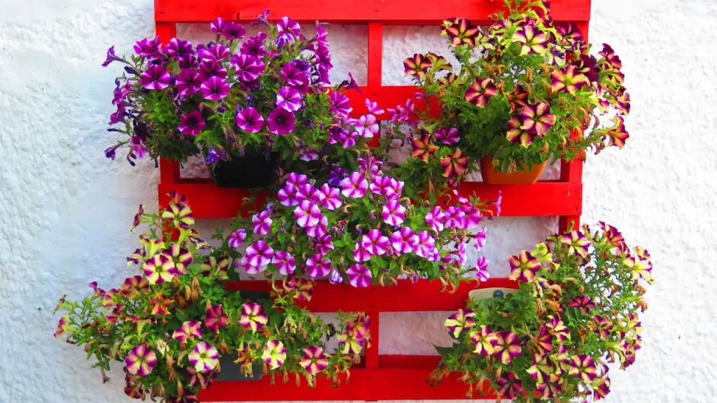 Jardim Vertical de Pallet Sustentável