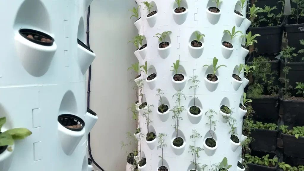 Horta vertical em varanda, cultivando ervas sem terra em 2025.