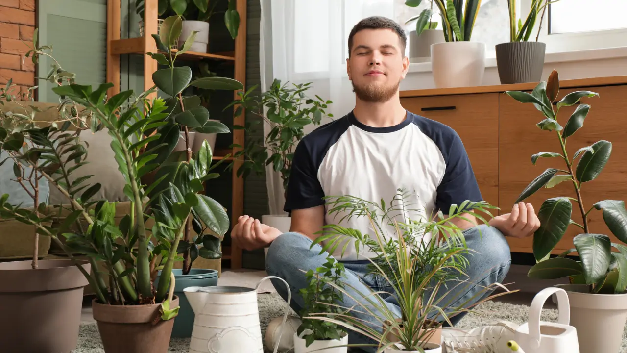 Pessoa meditando em uma sala cheia de plantas, desfrutando dos benefícios para o bem-estar e da redução do estresse.