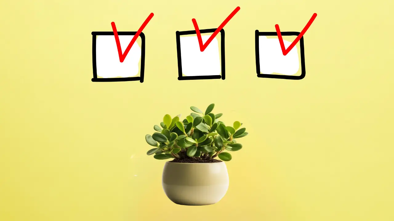 Um checklist e uma planta abaixo, simbolizando um plano de ação bem-sucedido.